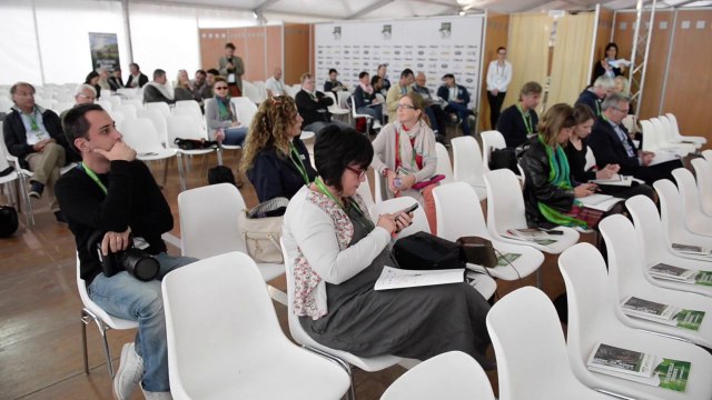 Musique Jeux Equestres Mondiaux