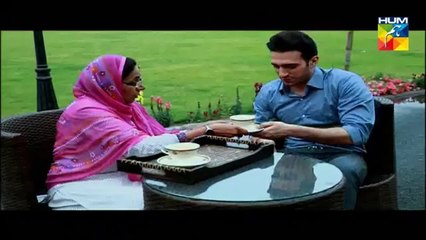 Janam Jali Episode 17 Full in High Quality on Hum Tv