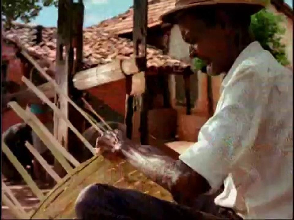 Minha Viola e eu - Zé Côco do Riachão