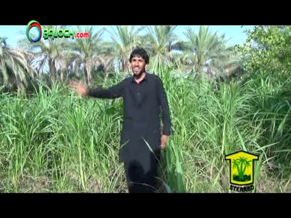 Mana Goh Wata | Saleem Baloch | OBaloch.Com