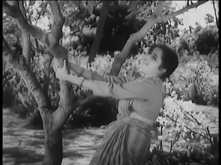 Kisi Ne Apna Bana Ke Mujhko 🎶