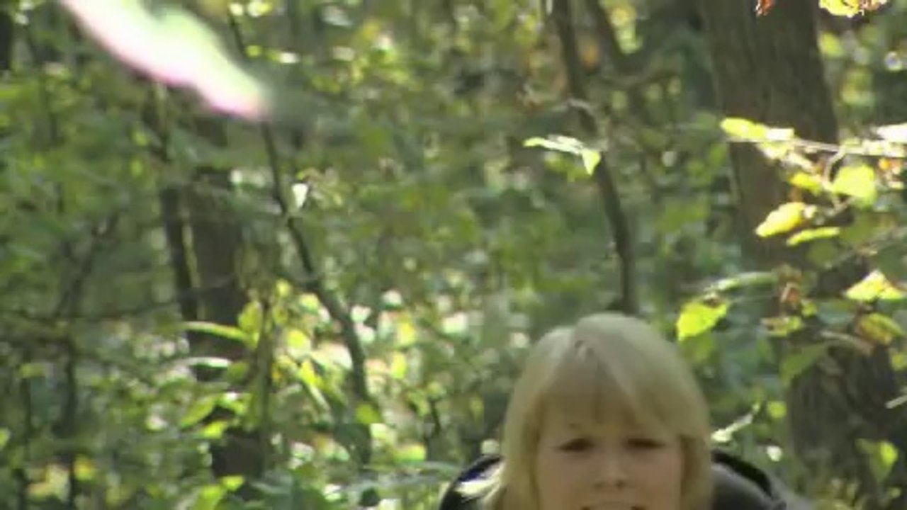 Wake the Witch - Original Trailer
