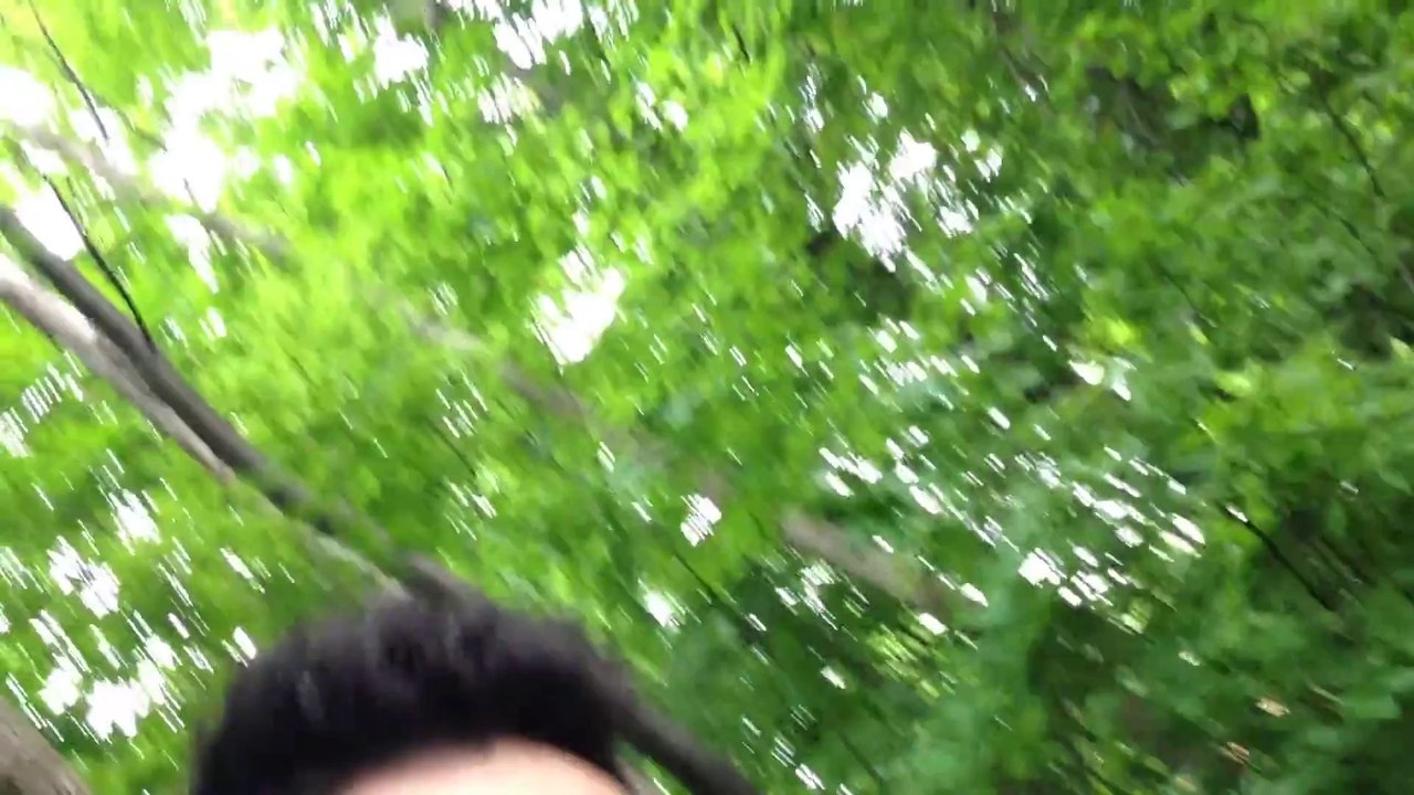 Vlog #19