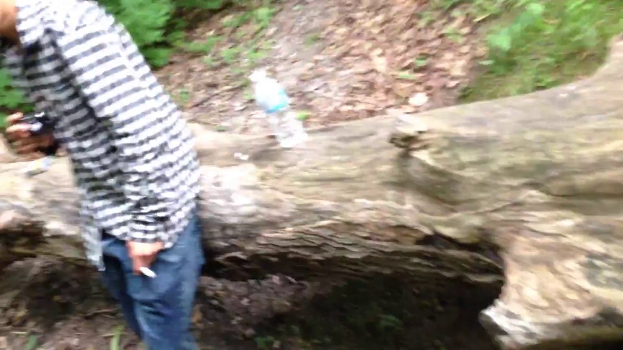 Vlog #29
