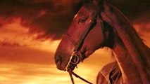 Bande-annonce : Cheval de guerre VOST