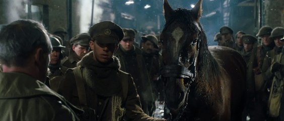 Bande-annonce : Cheval de guerre VF (2)