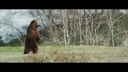 Bande-annonce : Terre des Ours - Teaser VF
