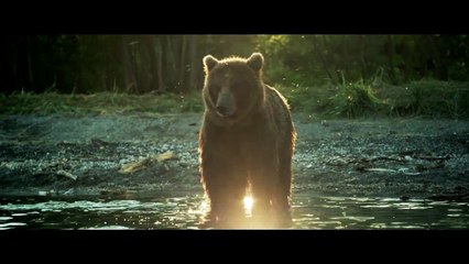 Terre des Ours - Clip Musical VF