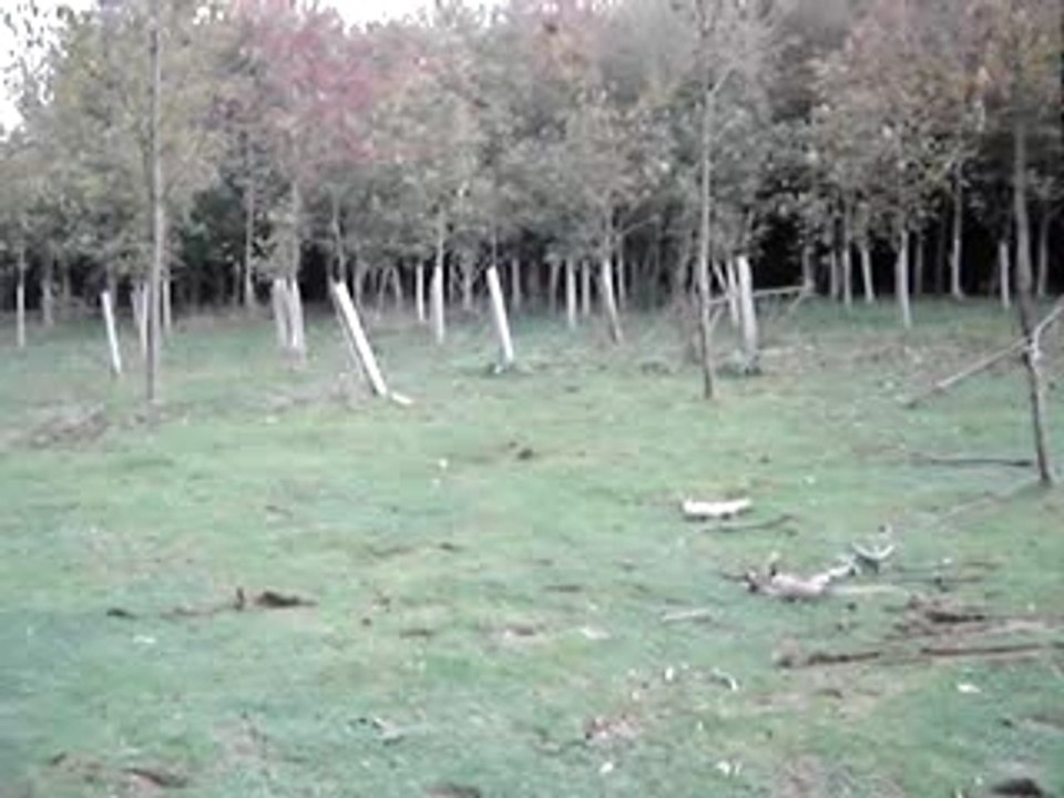 Dobé-Hélène-cross 1