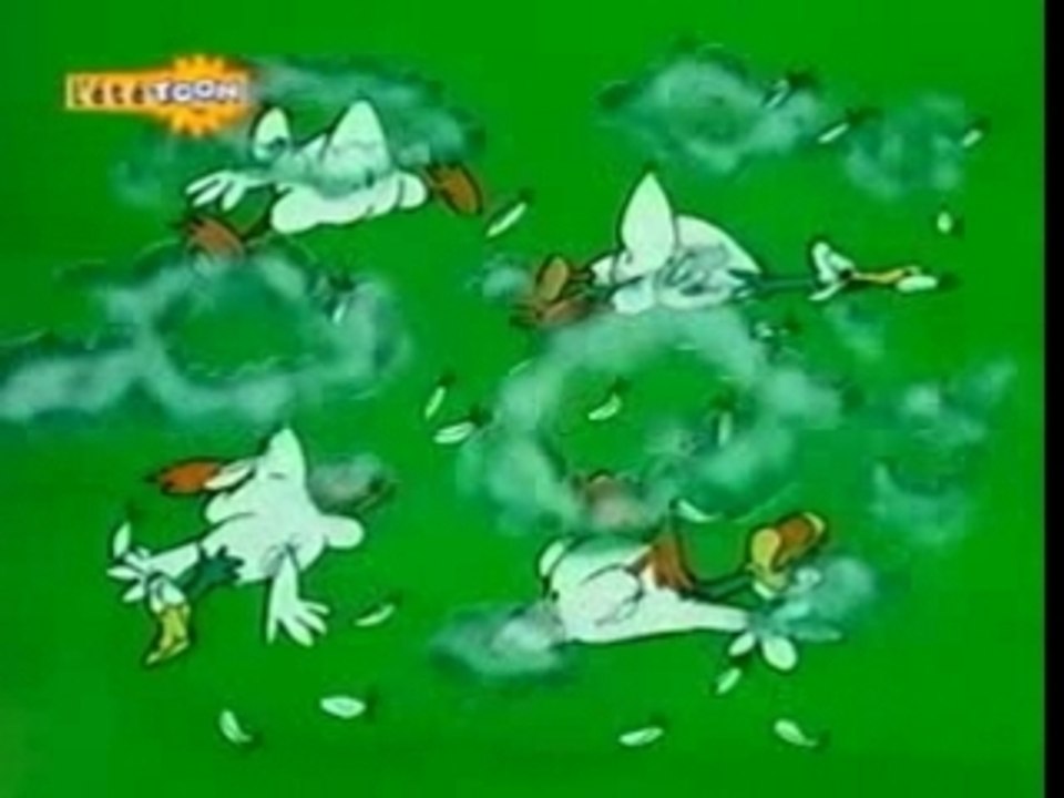 Zoo Cup - Poules contre canards