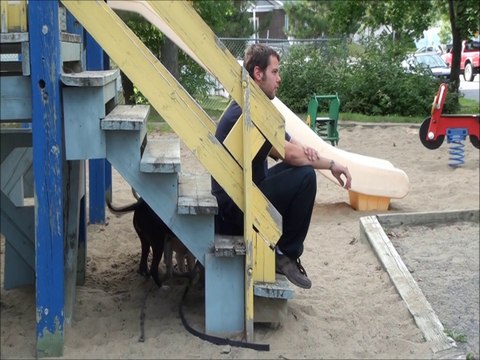 chico et gaia été 2010 ( bull terrier )