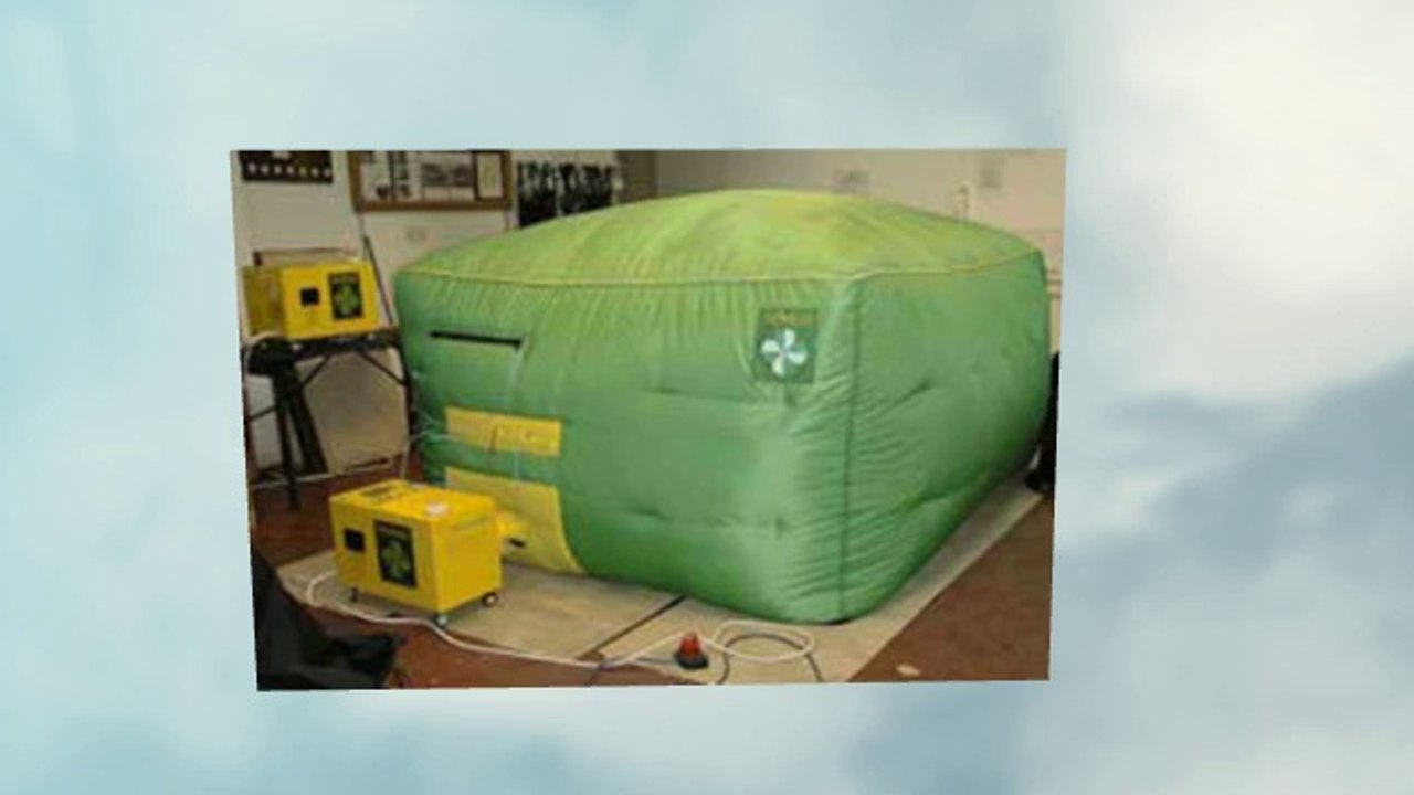 Cost Effective Pest Control Services in London