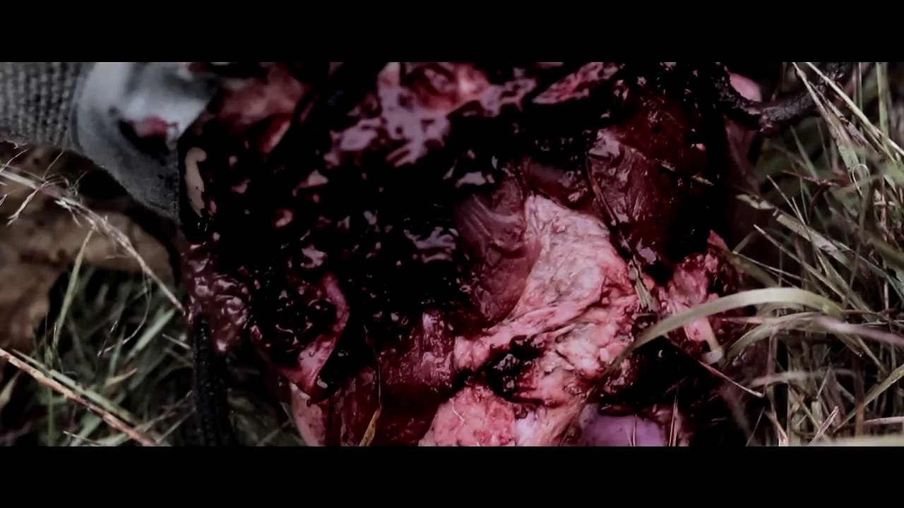 The Rise of Valhalla - TEASER V2