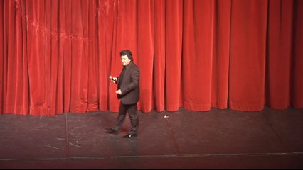 Gino Desantis Au Palais Des Beaux Arts De Charleroi