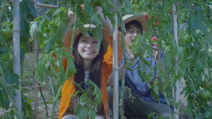 映画『きいろいゾウ』予告編