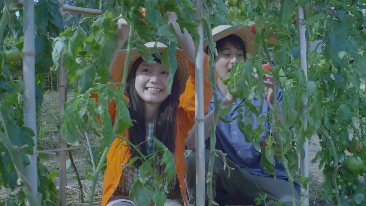 映画『きいろいゾウ』予告編