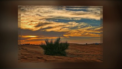 Dubai Desert Safari, Desert Safari Dubai, Evening Safari, Camel Safari, Morning and Night Safari in Dubai- Arabian Night Safari