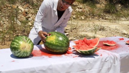 Shooting Watermelons In Super Slow Motion