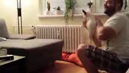 Un adorable chiot bouledogue