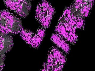 Anonymous Trois-Rivieres_15