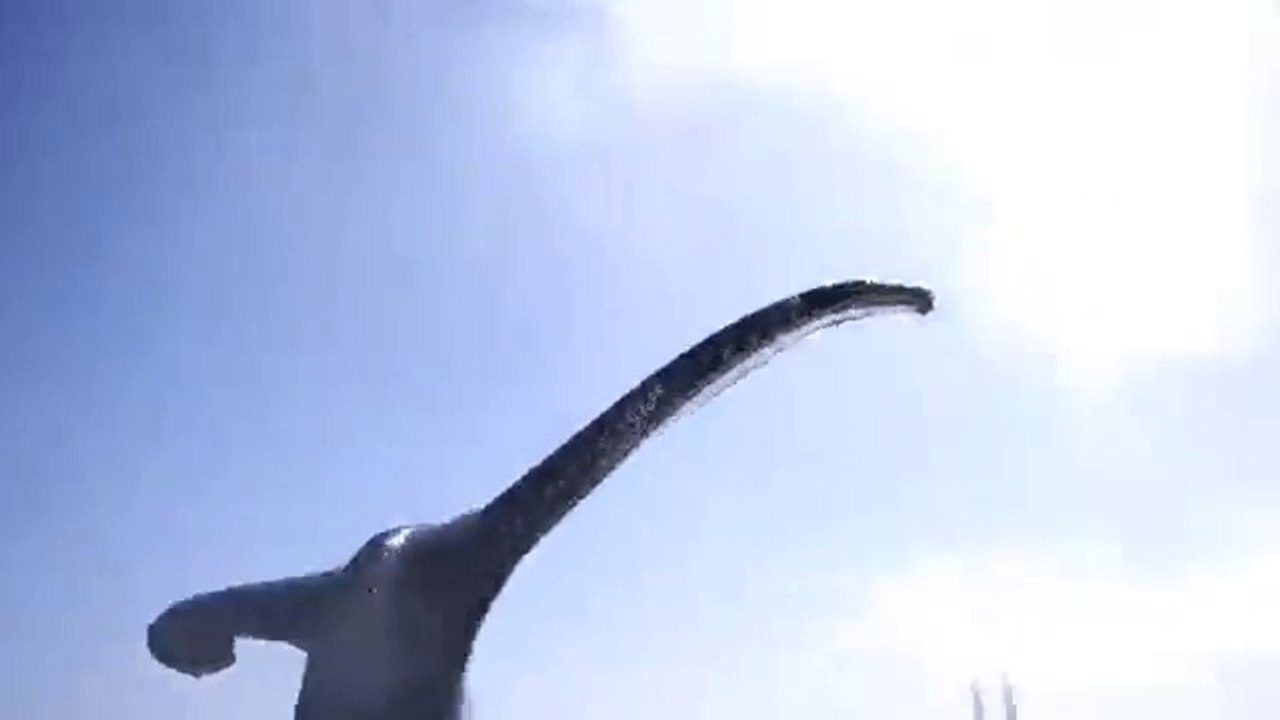 Un kayak presque coulé par la queue d'une baleine!
