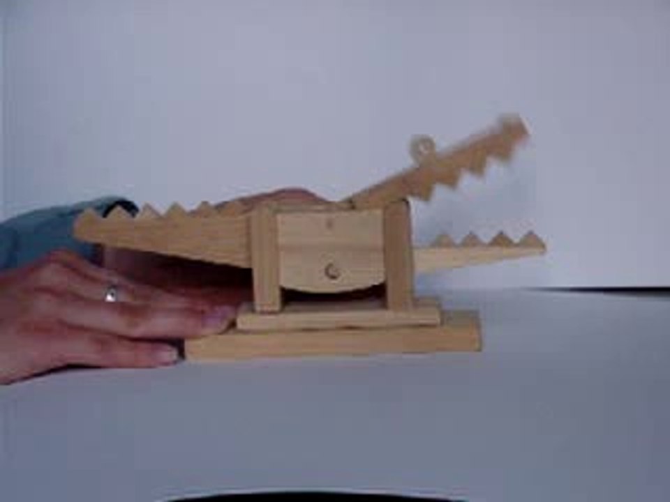 alligator