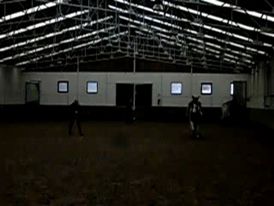 Détente chevaux Cosaques