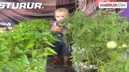 Apartmanın İkinci Katını Sebze Bahçesine Çevirdi