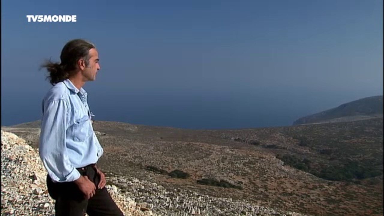 Cheval de Skyros en Grèce