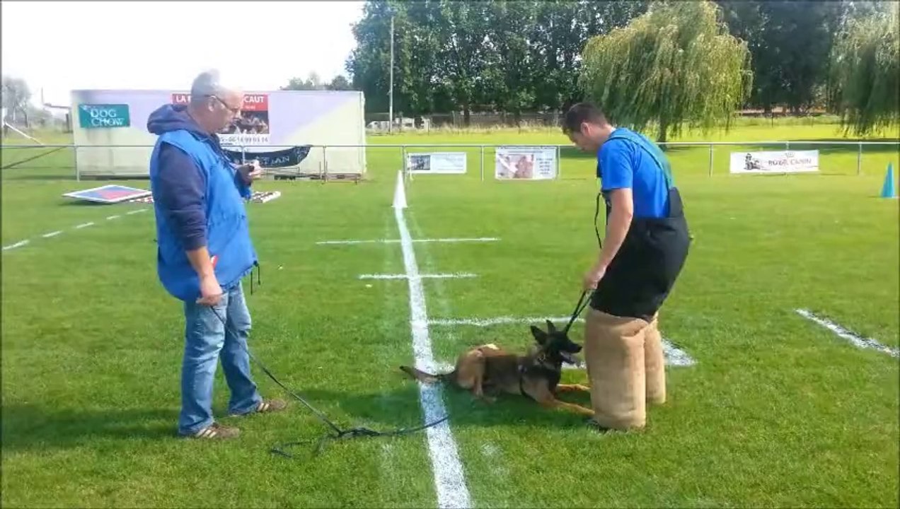 Jet'7 du Banc des Hermelles - 7 mois - Mordant Ring (22/08/2014)