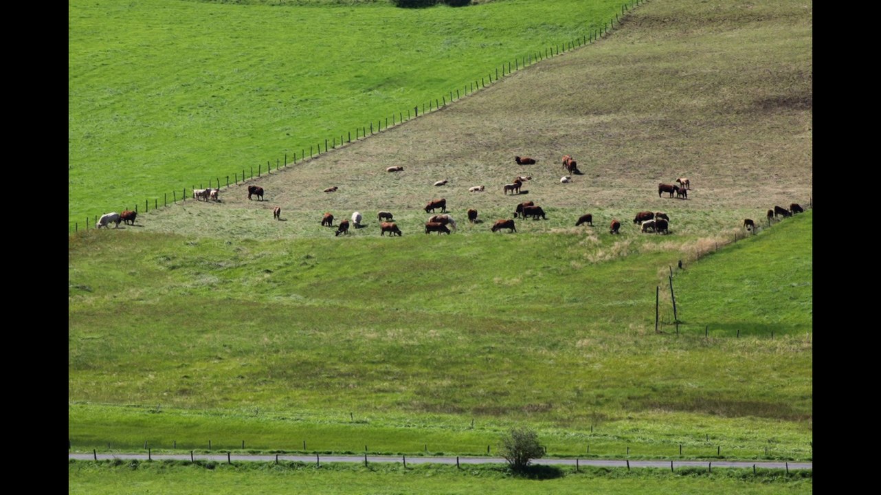 Puy Mary Volcan du cantal