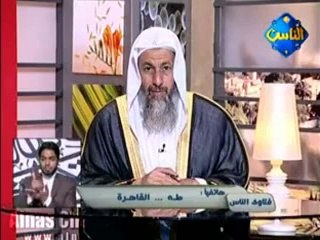 رأي الشيخ مصطفى العدوي في الديمقراطية