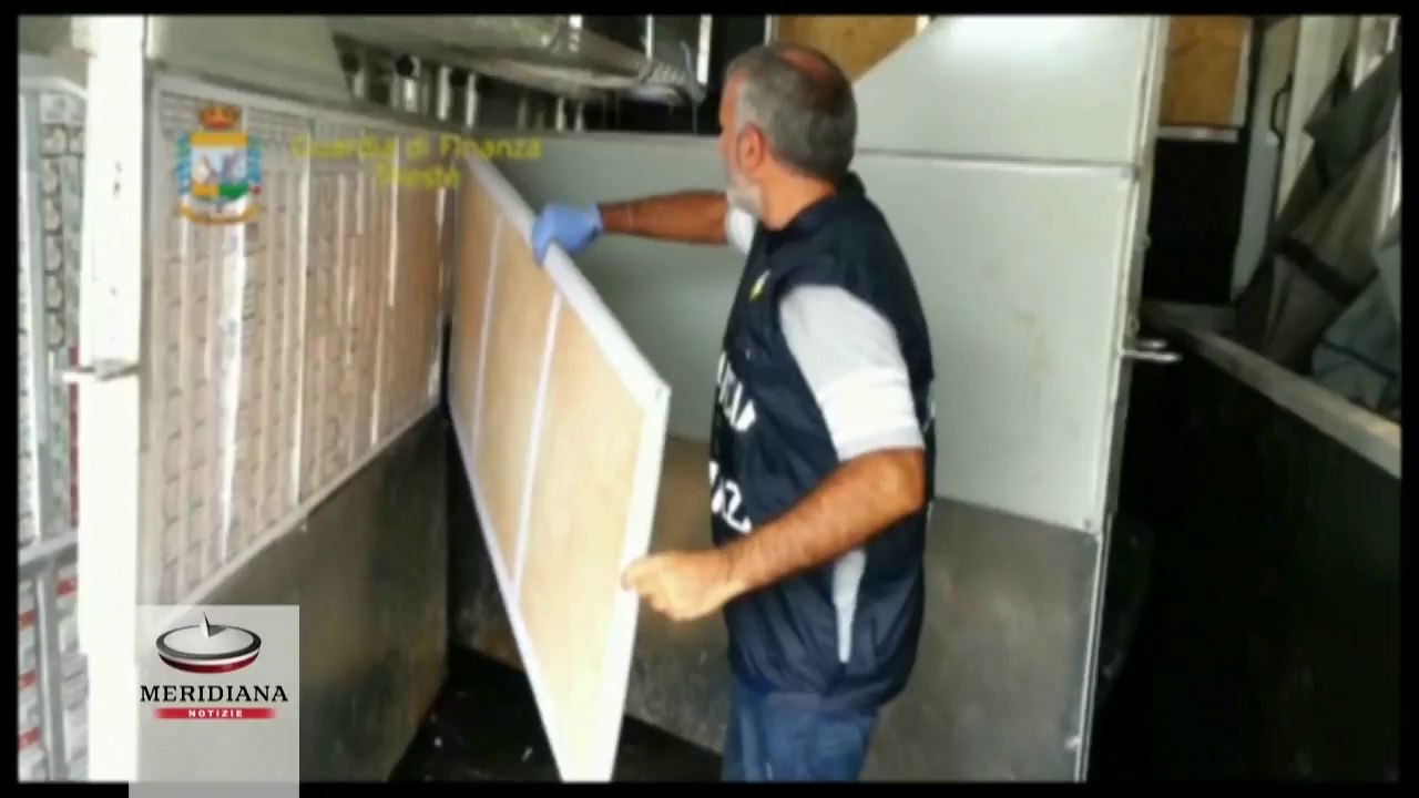 Contrabbando, a Trieste scovate 40 mila sigarette dentro un autocarro che trasportava cavalli