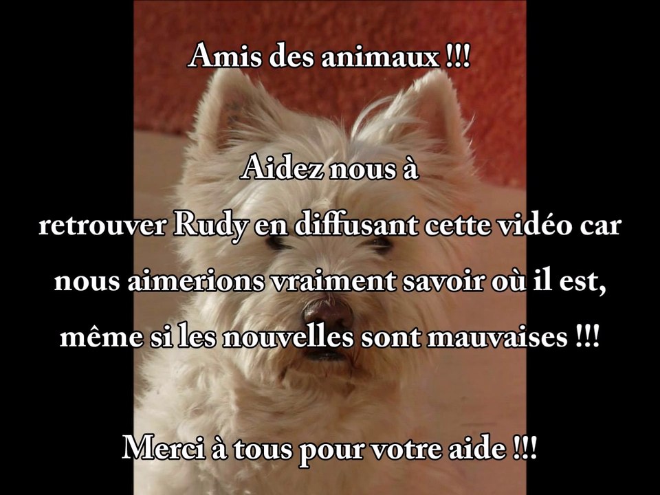 Appel à témoins !  Où est RUDY ?