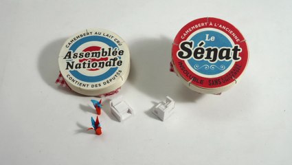 Le vote de la loi - Les Clés de la République