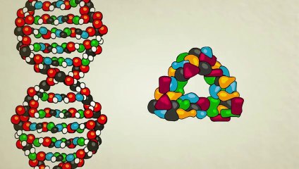What Is DNA? A Simple Explanation