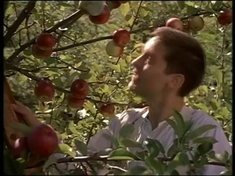 trailer "the cider house rules"