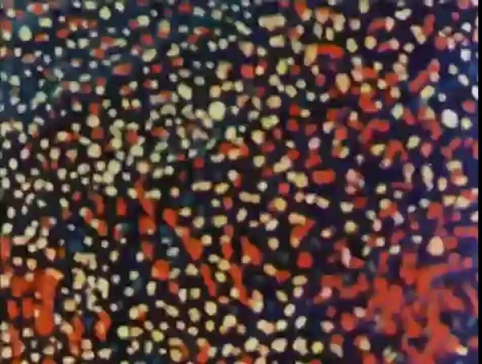 A Short Vision (1956)