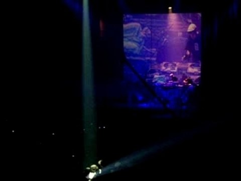 Z11 - Svinkels - DJ Pone