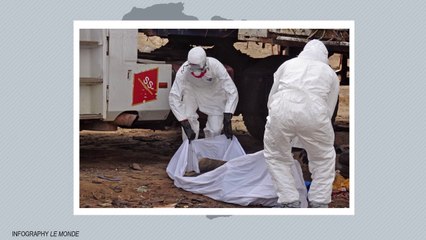 Everything you need to know about the Ebola virus