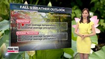 Saturday to be mostly sunny, showers in forecast for Sunday