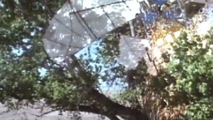 Arizona Dream - Bande annonce VOST