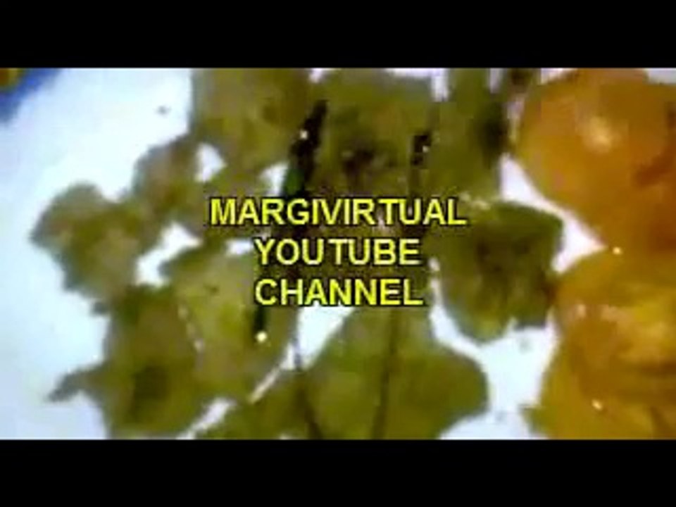 Cara Membuat Daging Sapi Goreng Resep Masakan