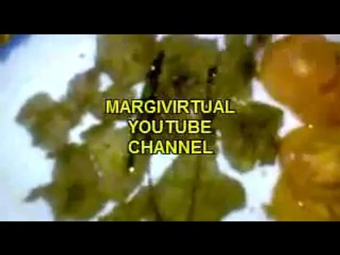 Cara Membuat Daging Sapi Goreng Resep Masakan