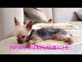 さゆりとちょこ２０１３年６月 No2　訪問とその後 "And subsequent visit" June No2 2013 years Choco and Sayuri