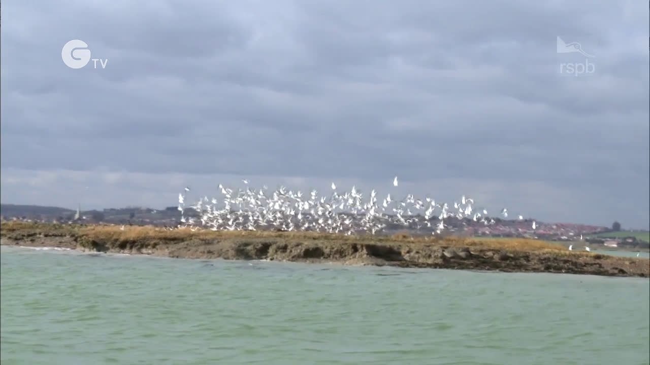 Saving Special Places: North Kent Marshes