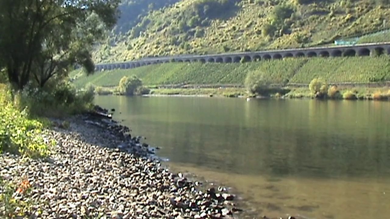 Hangviadukt Pünderich an der Mosel mit Bahnen und Schiffen, 181, 111, Alstom Prima, 2x426, 2x 425, 628