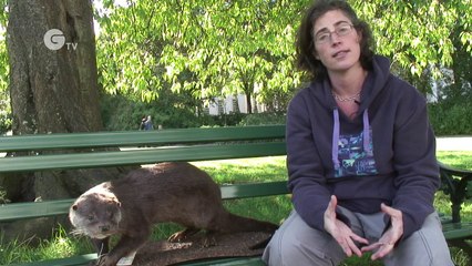 Monitoring Pollution With Otters