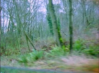 Sundance Film Festival Classics "Little Farm"