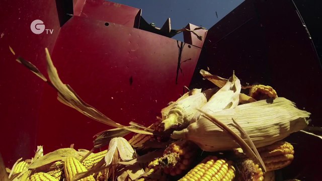 Climate Change 2014: Mitigation of Climate Change